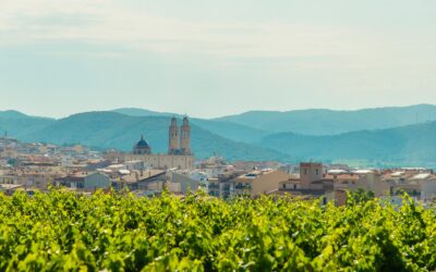 Explora el sendero de Sant Pere de Ribes a Montgròs