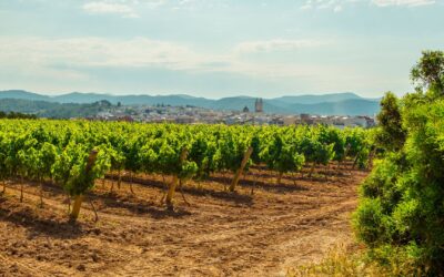 Descubre la historia de Sant Pere de Ribes   