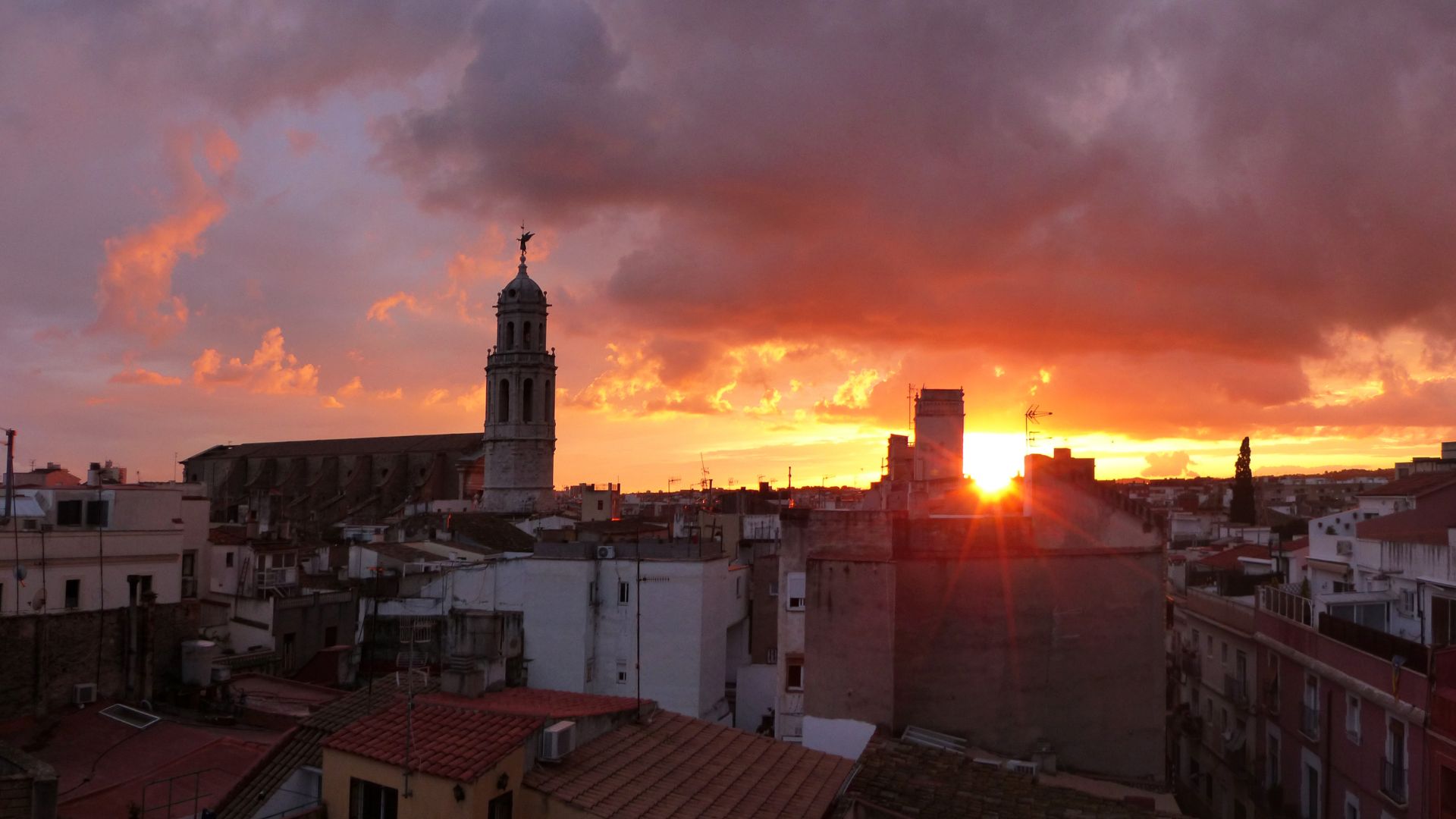 Martes de Vidalot Vilanova i la Geltrú BusGarraf