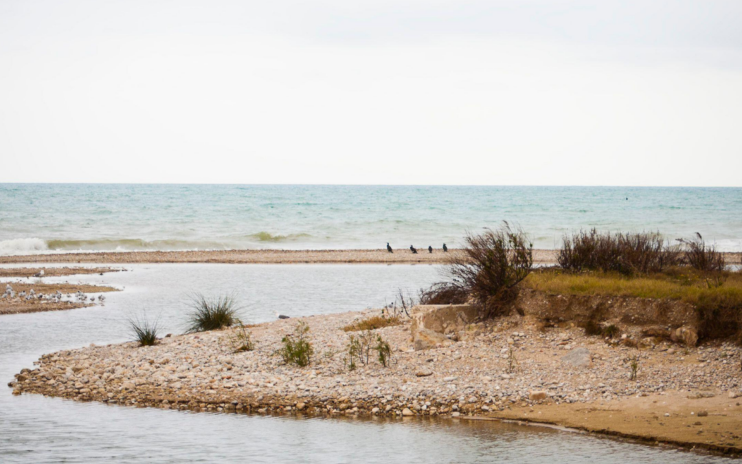 Descubre el encanto del invierno en Cubelles 