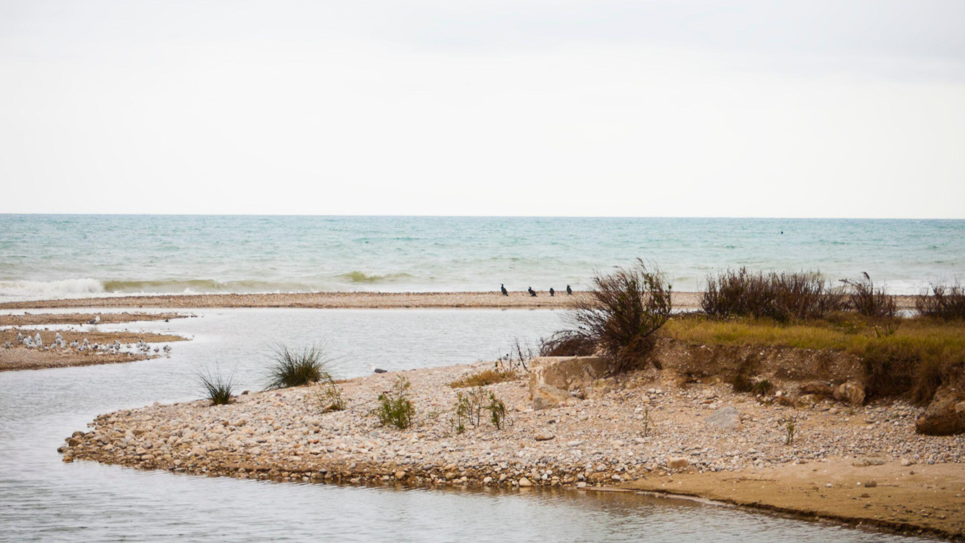 Descobreix l’encant de l’hivern a Cubelles
