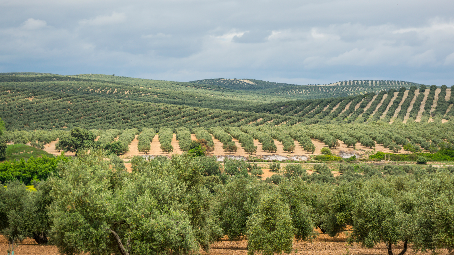 Descobreix la història de Cunit