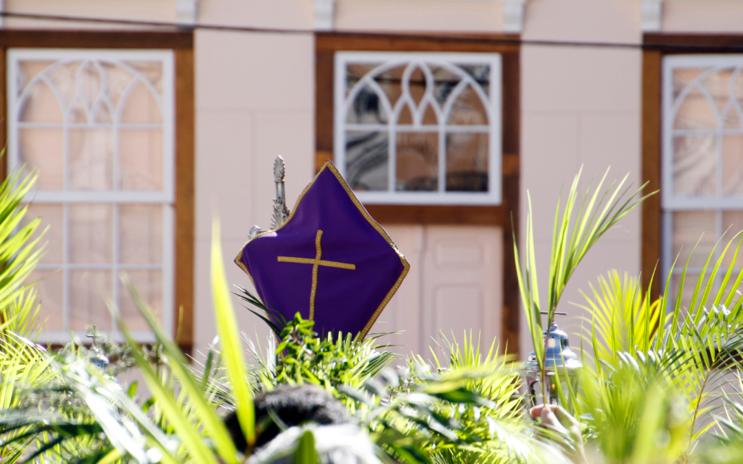 Com arribar a Sitges amb BusGarraf per al Diumenge de Rams