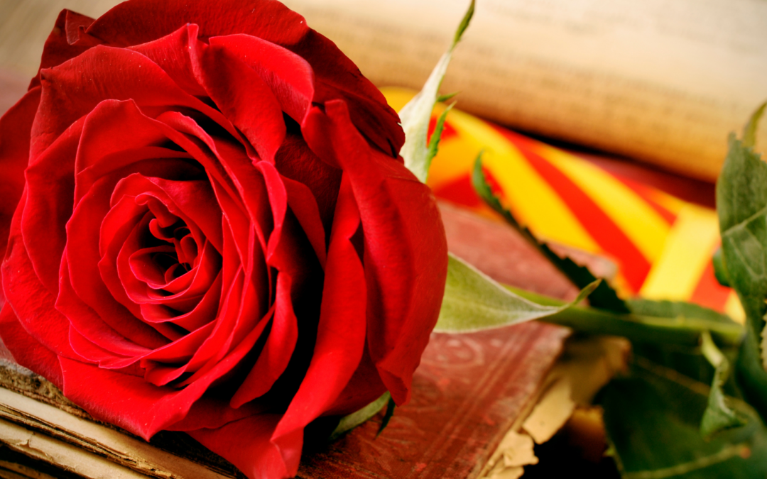 Com arribar a Tarragona amb BusGarraf per gaudir de Sant Jordi 