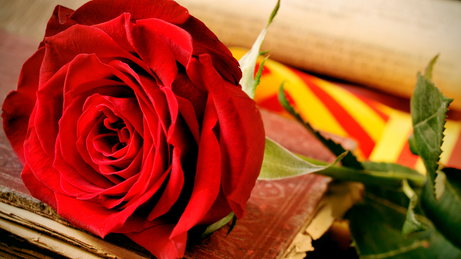 Cómo llegar a Tarragona con BusGarraf para disfrutar de Sant Jordi