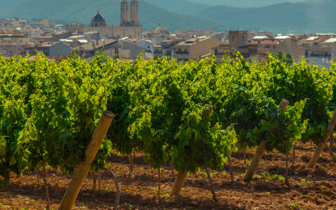 Què veure a Sant Pere de Ribes: curiositats, història i com arribar