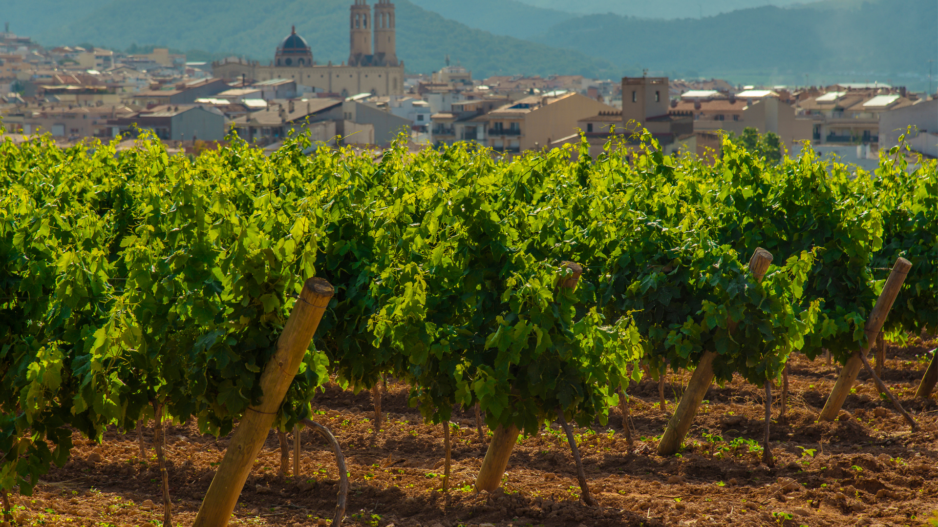 Qué ver en Sant Pere de Ribes: curiosidades, historia y cómo llegar 