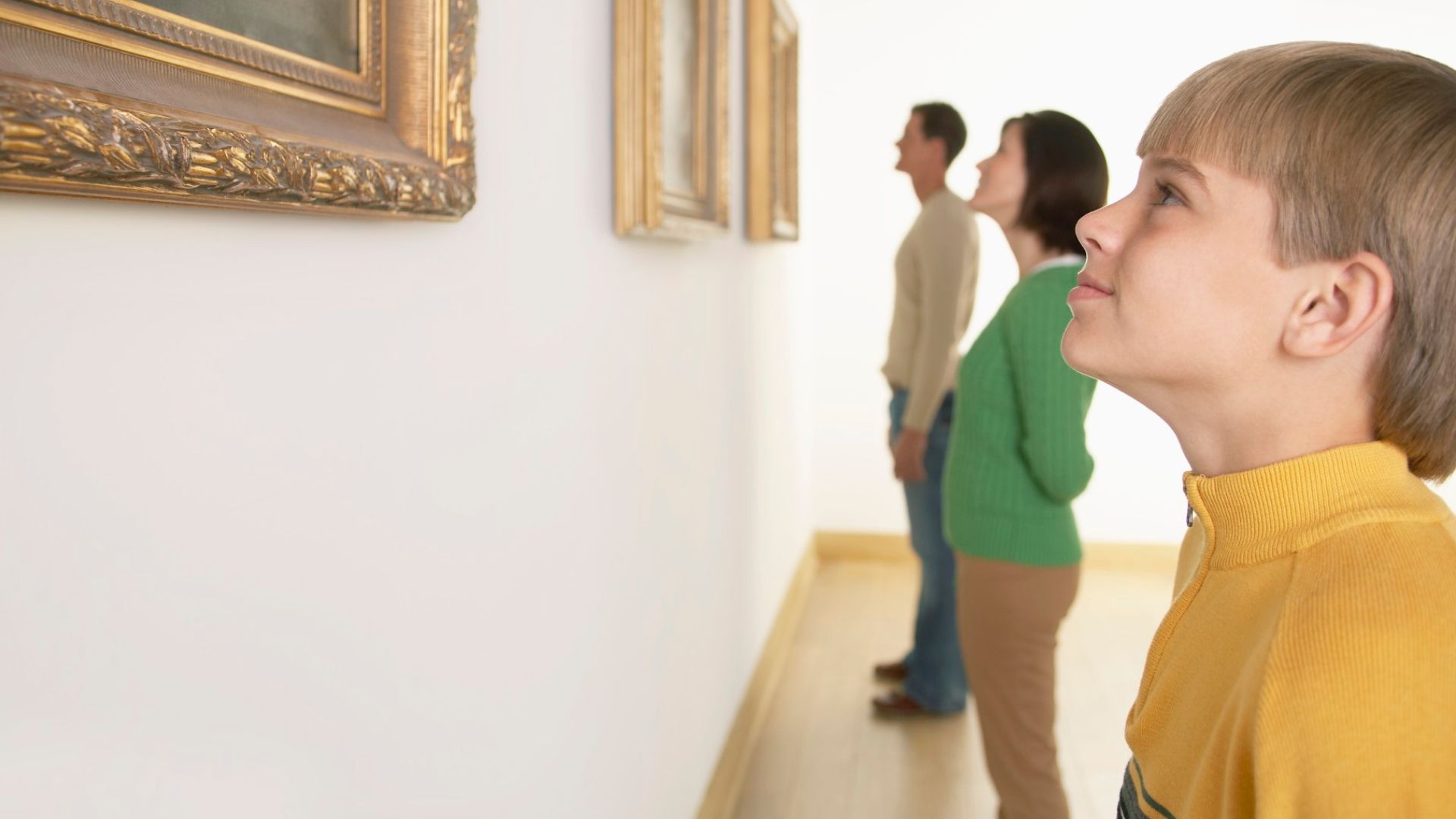 Descubre el Museo Picasso de Barcelona y cómo llegar con BusGarraf